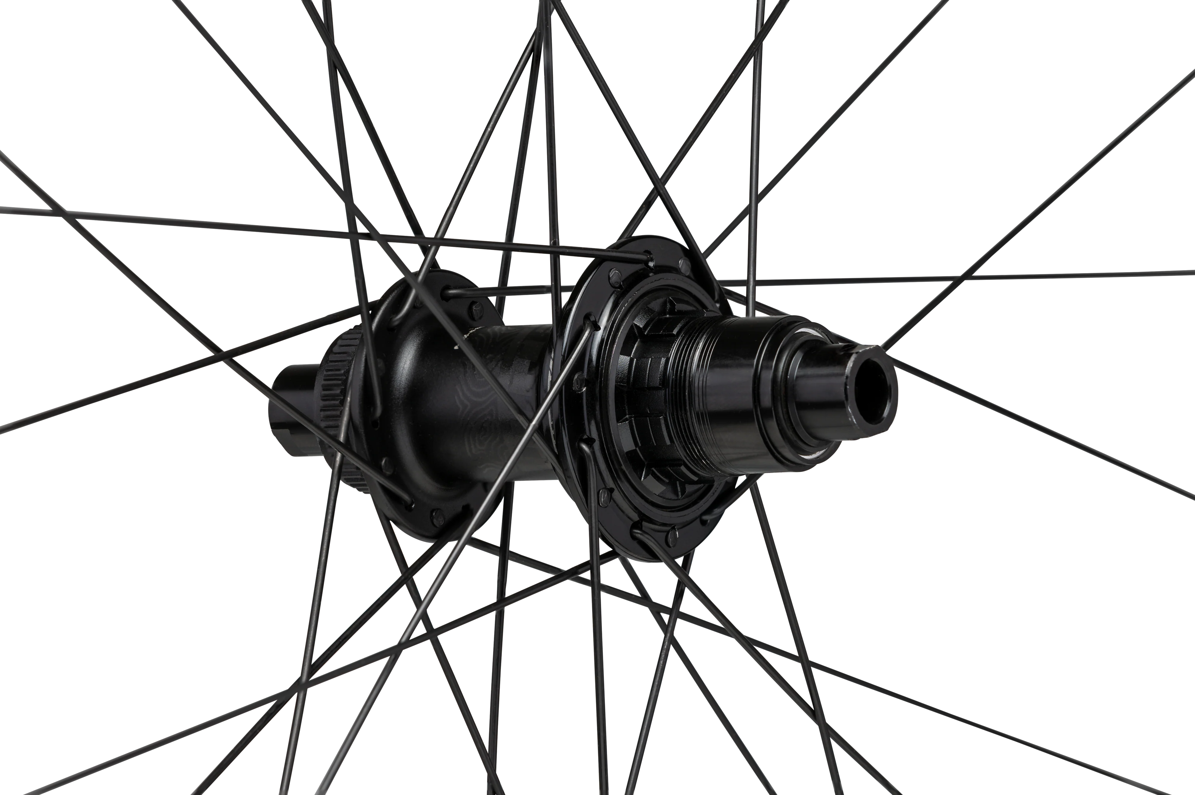 Proterra Light i25 - Image 3